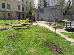 Маленьким пациентам одесского тубдиспансера вернули тень: на детской площадке снова растут деревья