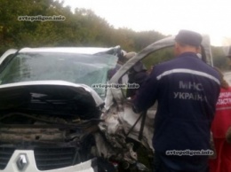ДТП на Хмельнитчине: в столкновении двух Renault пострадал водитель. ФОТО