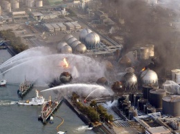 В Японии неделю не могут потушить пожар в радиоактивном лесу возле АЭС "Фукусима-1"