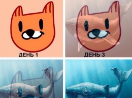 Пользователи "ВКонтакте" сравнили стикеры "Лис" со смертельной игрой "Синий кит"