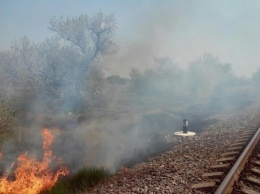 Вчера на Херсонщине 7 раз тушили пожары на открытых территориях