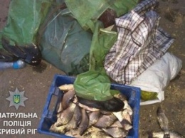 В Кривом Роге задержали "рыбного" браконьера