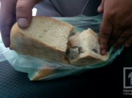 "Мясо с хлебом": криворожанин обнаружил в буханке хлеба неизвестное животное