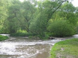В экоинспекции Ровенской области сообщили о загрязнении местных рек