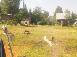 В Вышгородском районе земли, розданные под дачи, хотят вернуть в госсобственность
