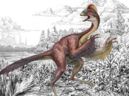 Найден новый вид загадочных динозавров с перьями