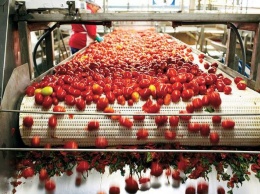 Крупнейший производитель томатной пасты из Николаева привлек кредит в $23 млн