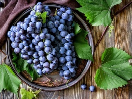 Ученые из РФ научились делать виноград полезнее