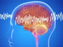Разработка российских ученых поможет нормализовать сон при стрессе