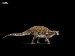Что-то среднее между ящерицей и львом, но покрытое чешуей: ученые показали окаменевшего динозавра