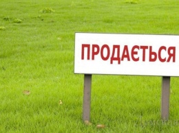 12 земельных участков в Павлограде выставят на продажу