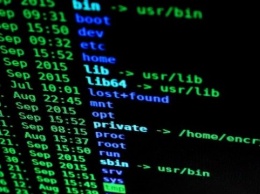 В МВД Германии заявляют, что предупредили кибератаку
