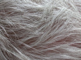 Выявлена причина появления седых волос