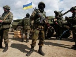 Защитники Украины 93 омбр отметили День рождения части в боевой обстановке