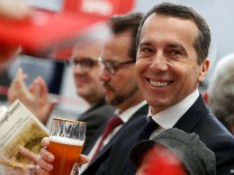 Канцлер Австрии согласился на досрочные парламентские выборы