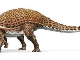 В канадском музее выставили пятиметрового окаменелого динозавра