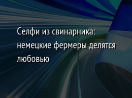 Селфи из свинарника: немецкие фермеры делятся любовью