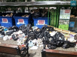 Во Львове мусорные кучи "оккупировали" центральный проспект Свободы