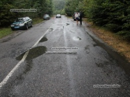 ДТП на Винничине: Nissan Tiida врезался в дерево - погибла женщина. ФОТО
