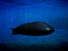 Пентагон уверен, что Россия разрабатывает подводный ядерный беспилотник