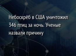 Небоскреб в США уничтожил 346 птиц за ночь. Ученые назвали причину