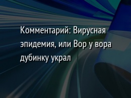 Комментарий: Вирусная эпидемия, или Вор у вора дубинку украл