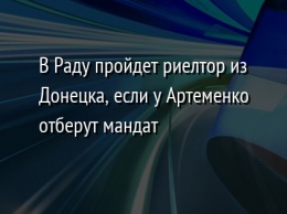 В Раду пройдет риелтор из Донецка, если у Артеменко отберут мандат