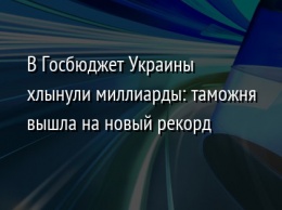 В Госбюджет Украины хлынули миллиарды: таможня вышла на новый рекорд