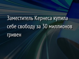 Заместитель Кернеса купила себе свободу за 30 миллионов гривен