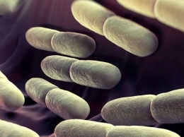 У пациентов в клинике США выявили неизвестные супербактерии