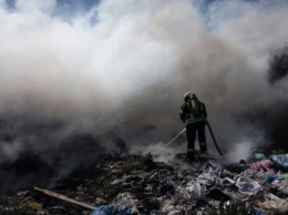 В Новых Петровцах на Киевщине горит мусорный полигон - спасатели вызвали дополнительные силы (фото)