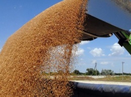 Украина экспортировала рекордные 39,1 млн тонн зерна - Минагрополитики