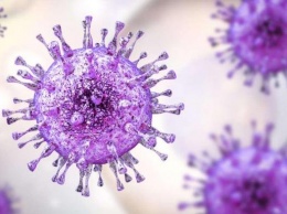Ученые: Гигантские вирусы крадут гены, чтобы имитировать жизнь