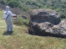 На греческом острове нашествия саранчи, объявлено чрезвычайное положение