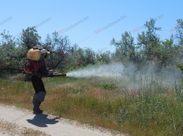 В Бердянске продолжается эффективная борьба с комарами