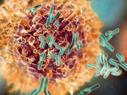 Ученые нашли антитела, позволяющие бороться с раком