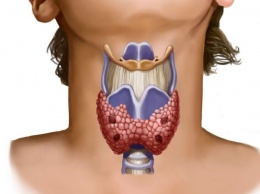 8 вещей в вашем доме, которые наносят вред вашей щитовидной железе!