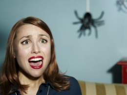 Ученые: Боязнь пауков является защитным эволюционным механизмом
