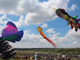 Под Николаевом прошел Международный фестиваль воздушных змеев