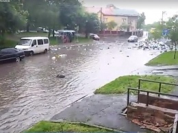 Сильный ливень во Львове превратил улицы в мусорные потоки