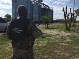 На Харьковщине разоблачен конверт-центр, прикрывавший незаконные сделки с зерном (ФОТО)