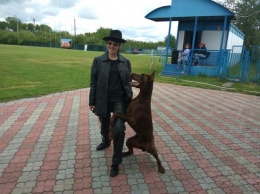 В Днепре соревновались танцующие собаки (ФОТО)