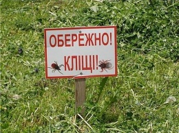 Как жителям Луганщины защититься от клещей