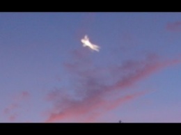 В Мельбурне камера наблюдения зафиксировала НЛО с крыльями