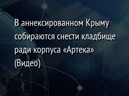 В аннексированном Крыму собираются снести кладбище ради корпуса «Артека» (Видео)