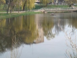 Фотофакт: большая вода на Саксагани