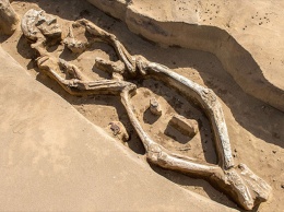 В древнем захоронении в Приморье найден скелет-«танцор»