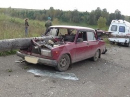 В Прикамье дерево проткнуло автомобиль ВАЗ с пассажирами
