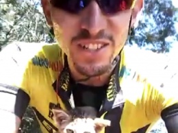 Добрым быть не трудно: бразильский велогонщик во время тренировочного заезда нашел на обочине дороги и подобрал брошенного котенка