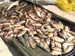 На Днепре задержали браконьеров, которые выловили более 100 кг рыбы с икрой